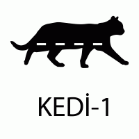Küçük Kedi 1 Rafı 