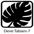 Deve Tabanı Bardak Altlığı