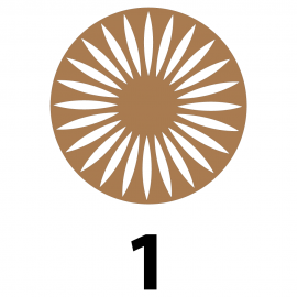 Desenli Supla Amerikan Servis