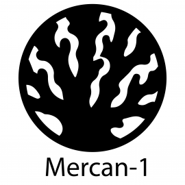 Mercan Bardak Altlığı