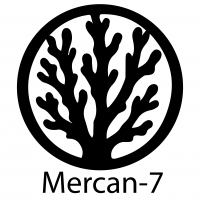 Mercan Bardak Altlığı