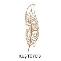 Kuş Tüyü Tablo